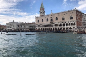 Venice: Sightseeing Tour with a Local Guide