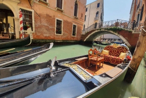 Venice: Sightseeing Tour with a Local Guide