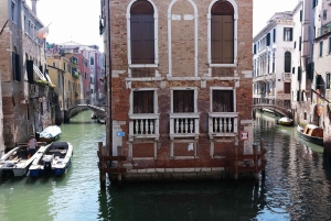 Venice: St Mark's Square & Rialto Walking Tour & Gondola