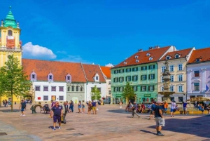 From Vienna: Private Day Tour of Devin Castle & Bratislava