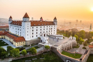 From Vienna: Private Day Tour of Devin Castle & Bratislava