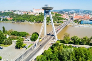 From Vienna: Private Day Tour of Devin Castle & Bratislava