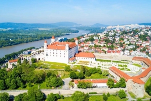 From Vienna: Private Day Tour of Devin Castle & Bratislava