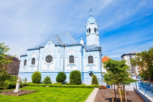 From Vienna: Private Day Tour of Devin Castle & Bratislava