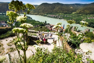 From Vienna: Wachau Valley Day Tour with Wine Tasting