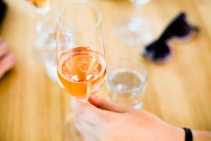 From Vienna: Wachau Valley Day Tour with Wine Tasting