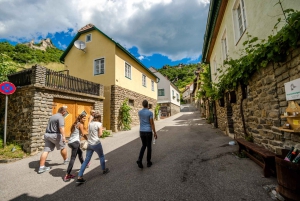 From Vienna: Wachau Valley Day Tour with Wine Tasting