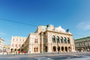 Skip the Line: Schönbrunn Palace & Vienna City Tour