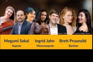 Wenen: kerstconcert klassiek/musical/pop, in de buurt van Schönbrunn