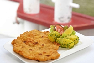 ウィーンシティークルーズとオプショナルランチ