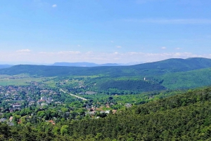 Vienna: Full-Day Vienna Woods Wine Tasting Tour