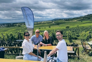 Vienna: Full-Day Vienna Woods Wine Tasting Tour