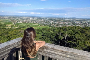 Vienna: Full-Day Vienna Woods Wine Tasting Tour