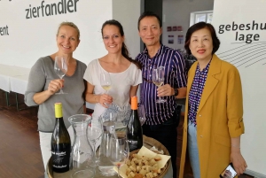 Vienna: Full-Day Vienna Woods Wine Tasting Tour