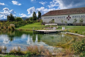 Vienna: Full-Day Vienna Woods Wine Tasting Tour