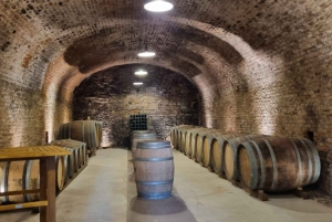 Vienna: Full-Day Vienna Woods Wine Tasting Tour