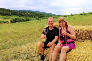 Vienna: Full-Day Vienna Woods Wine Tasting Tour