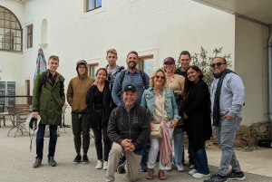 Vienna: Full-Day Vienna Woods Wine Tasting Tour