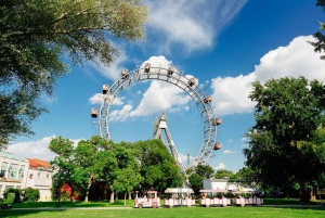 Viena: tour en autobús turístico con paradas libres