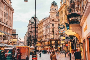 Vienna: Imperial Treasury Ticket & Digital City Tour