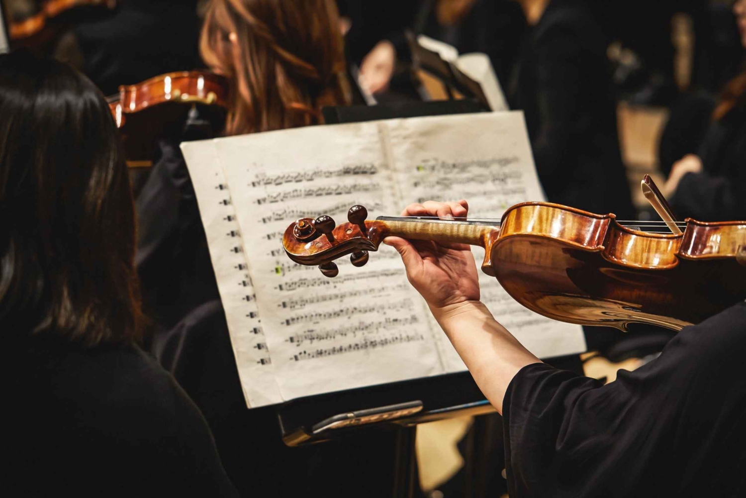 Wenen: privétour Mozart, Beethoven en Strauss