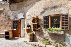 Vienna: Wachau, Melk Abbey, and Danube Valleys Tour