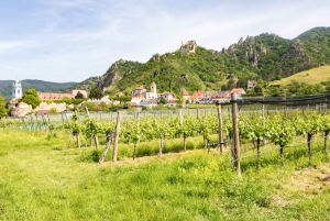 Vienna: Wachau, Melk Abbey, and Danube Valleys Tour
