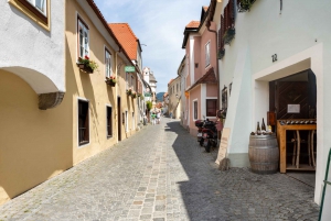 Vienna: Wachau, Melk Abbey, and Danube Valleys Tour