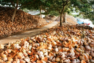 Från Ho Chi Minh-staden: tur i små grupper i Mekongdeltat
