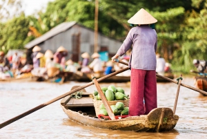 Från Ho Chi Minh-staden: tur i små grupper i Mekongdeltat