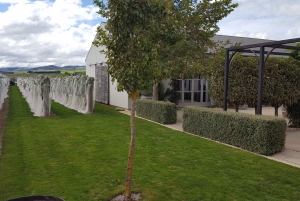 From Wellington: Half-Day Foodie Tour of the Wairarapa