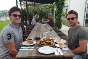 Martinborough Wine and Food Tour with Lunch from Wellington
