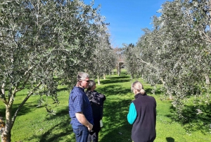Martinborough Wine and Food Tour with Lunch from Wellington