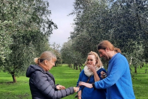 Martinborough Wine and Food Tour with Lunch from Wellington