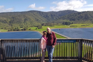 Martinborough Winery Tour