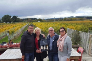 Martinborough Winery Tour