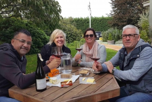 Martinborough Winery Tour