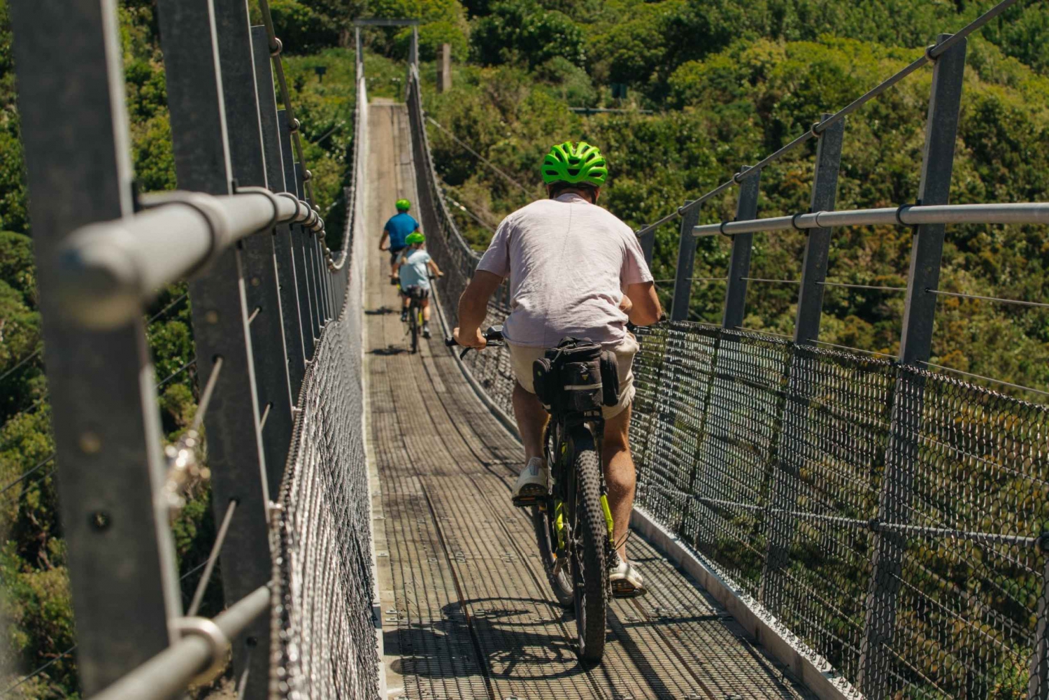 From Wellington: Remutaka Rail Trail eBike Tour