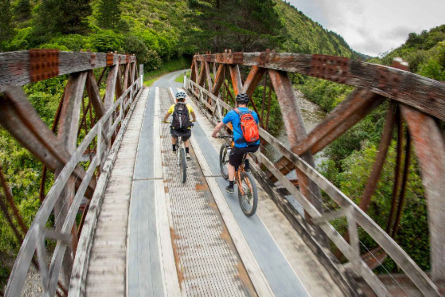 Remutaka Rail Trail eBike Shore Excursion dla statków wycieczkowych