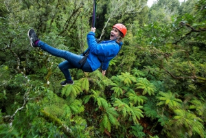 Rotorua: Guided Zipline Adventure Tour with Photos