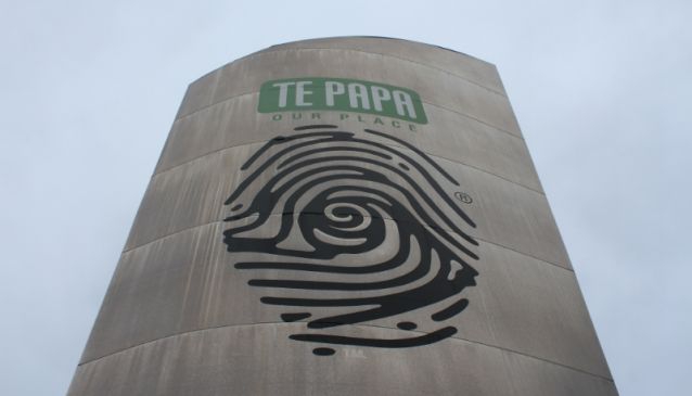 Te Papa Store