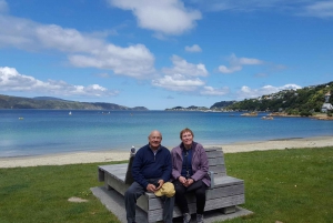 Wellington: Cave to Coast Highlights guidet tur