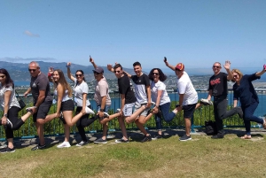 Wellington: Tour de medio día por lo más destacado de la ciudad y viaje en teleférico