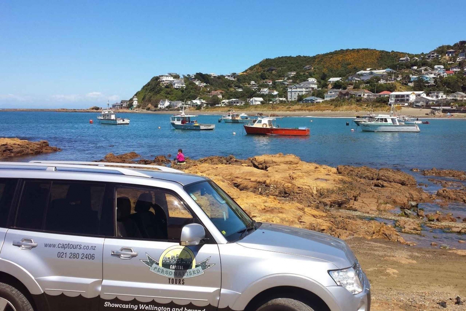 Wellington: Private Day Tour with Lunch