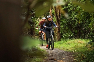 Wellington: Remutaka Rail Trail Cycle Tour