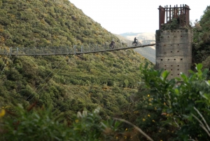 Wellington: Remutaka Rail Trail Cycle Tour