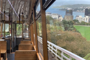 Wellington: Return Cable Car Ticket