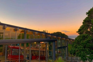 Wellington: Return Cable Car Ticket