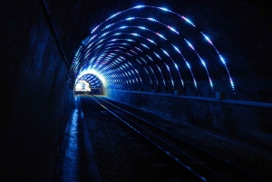 Wellington: Return Cable Car Ticket