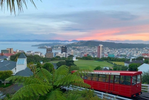Wellington: Return Cable Car Ticket